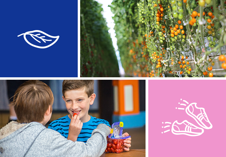 Top left image: Blue box with leaf icon, Top right image: Orange Grape Tomatoes, Bottom left image: Boys eating Organic Juno Bites, Bottom right image: Pink box with running shoes