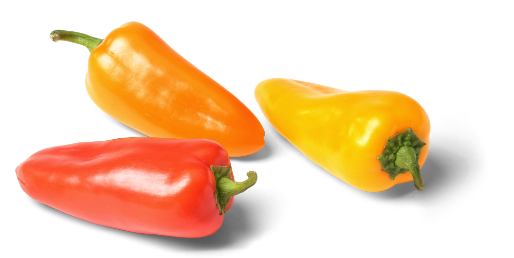 Bulk Pure Flavor Aurora Bites, Red, yellow and orange