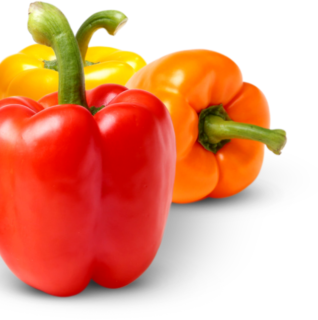 3 Pure Flavor Bulk Sweet Bell Peppers, red, yellow and orange