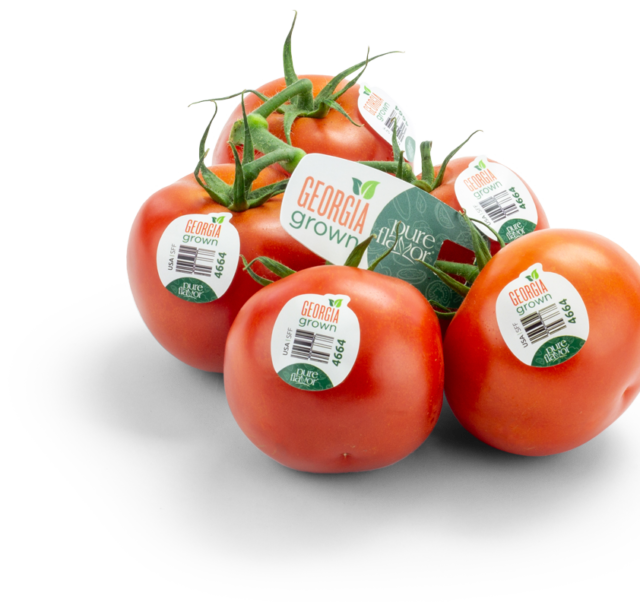Georgia Grown Pure Flavor Tomatoes On-the-Vine with Vine tag and PLU Stickers