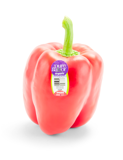 Single Organic Red Bell Pepper with PLU sticker