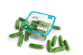 Uno Bites™ Nano Cucumbers Dry Pint