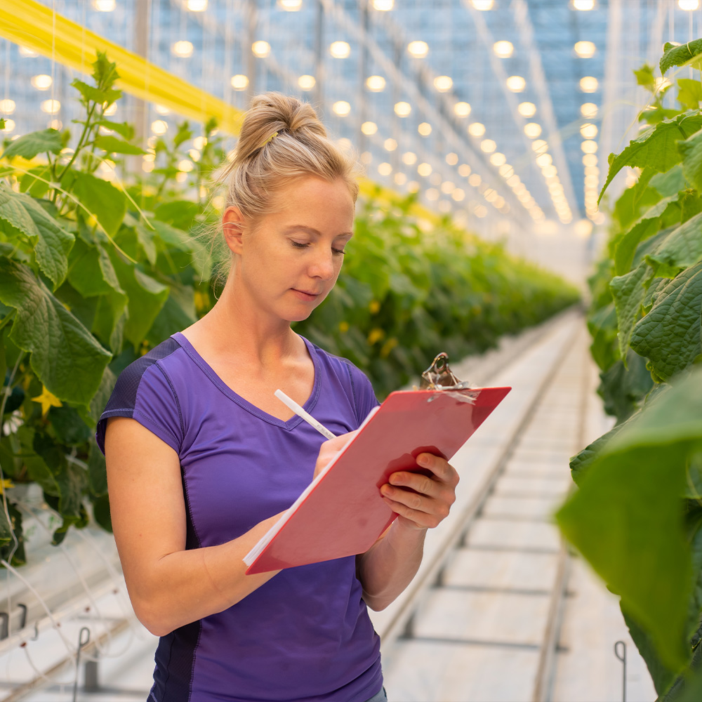 Pure Flavor Careers Employee Working