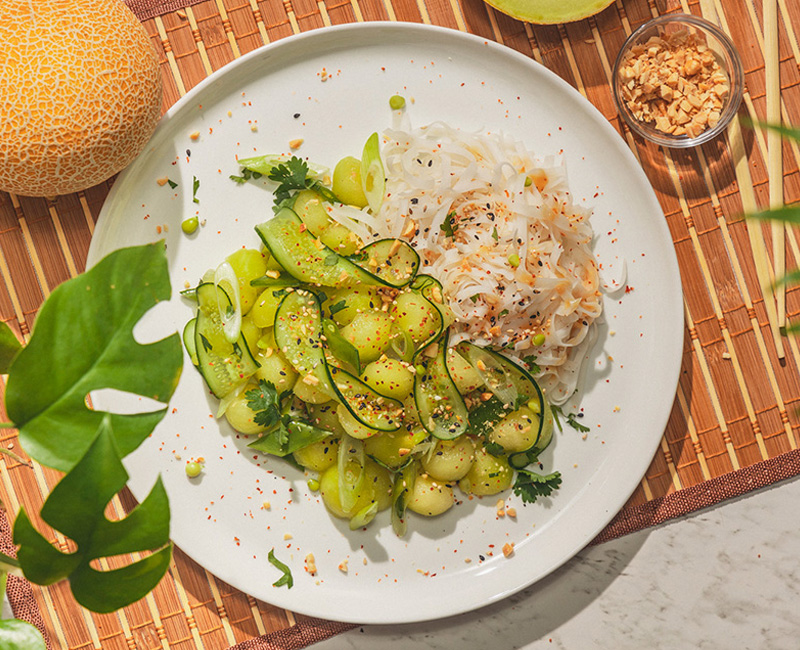 Asian Fusion Melon Salad