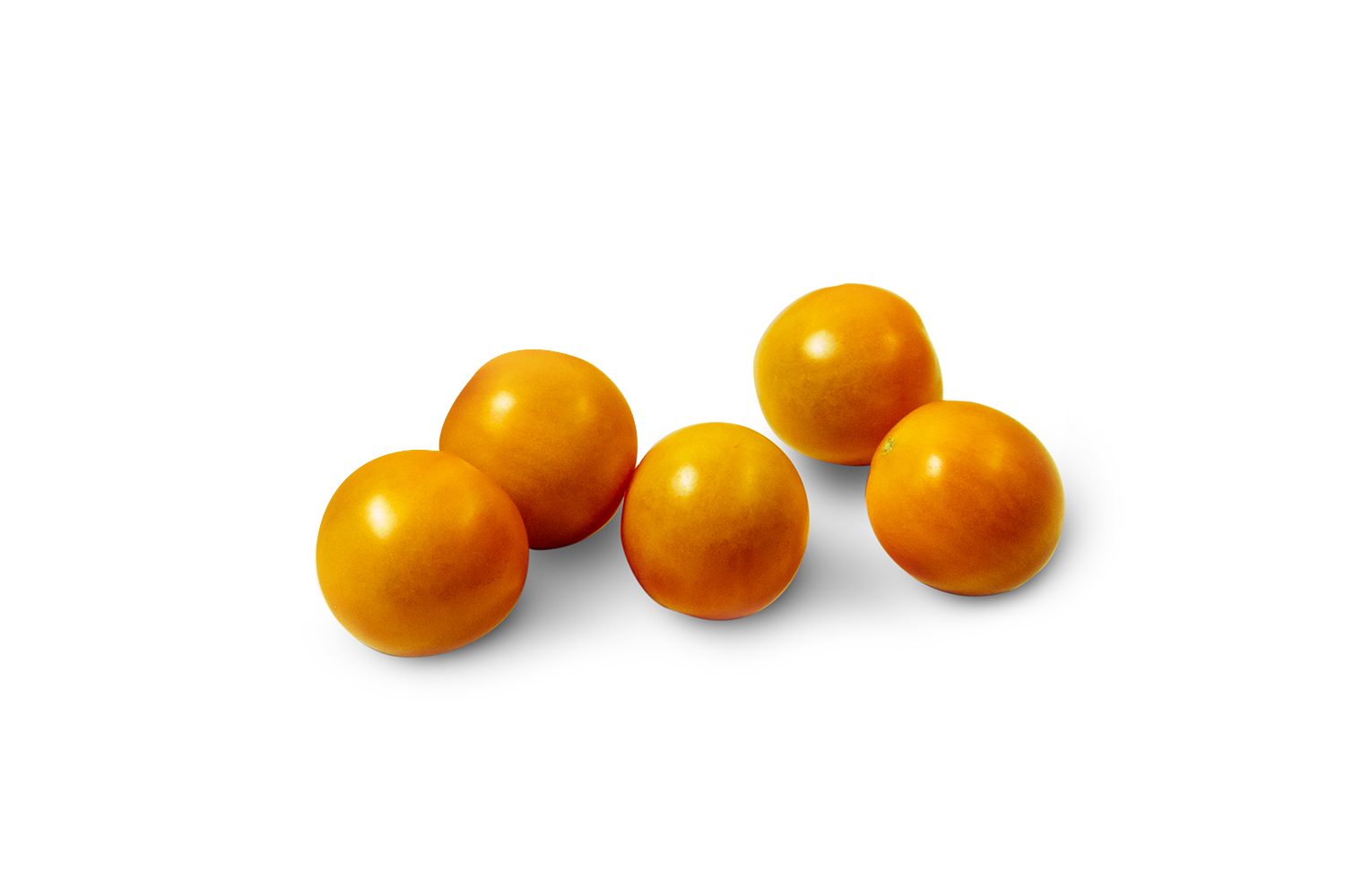 OMG Tomatoes