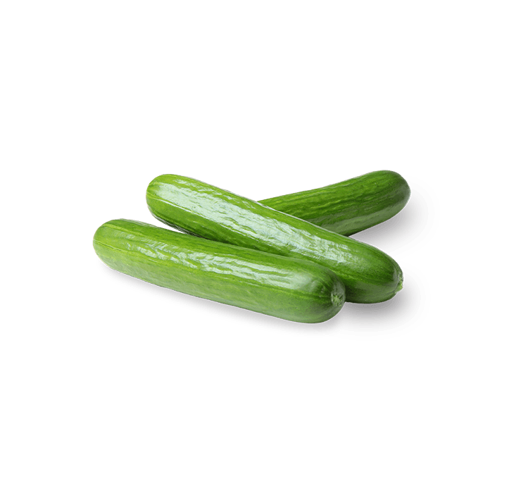 Greenhouse Cucumbers, mini, 4 ct