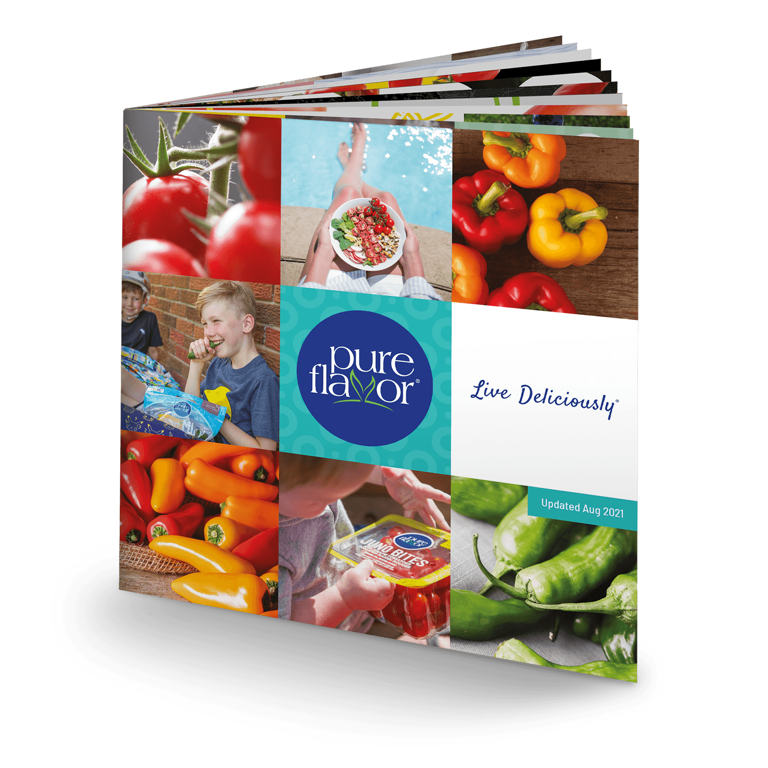 The 2020 Pure Flavor Brand StoryBook.
