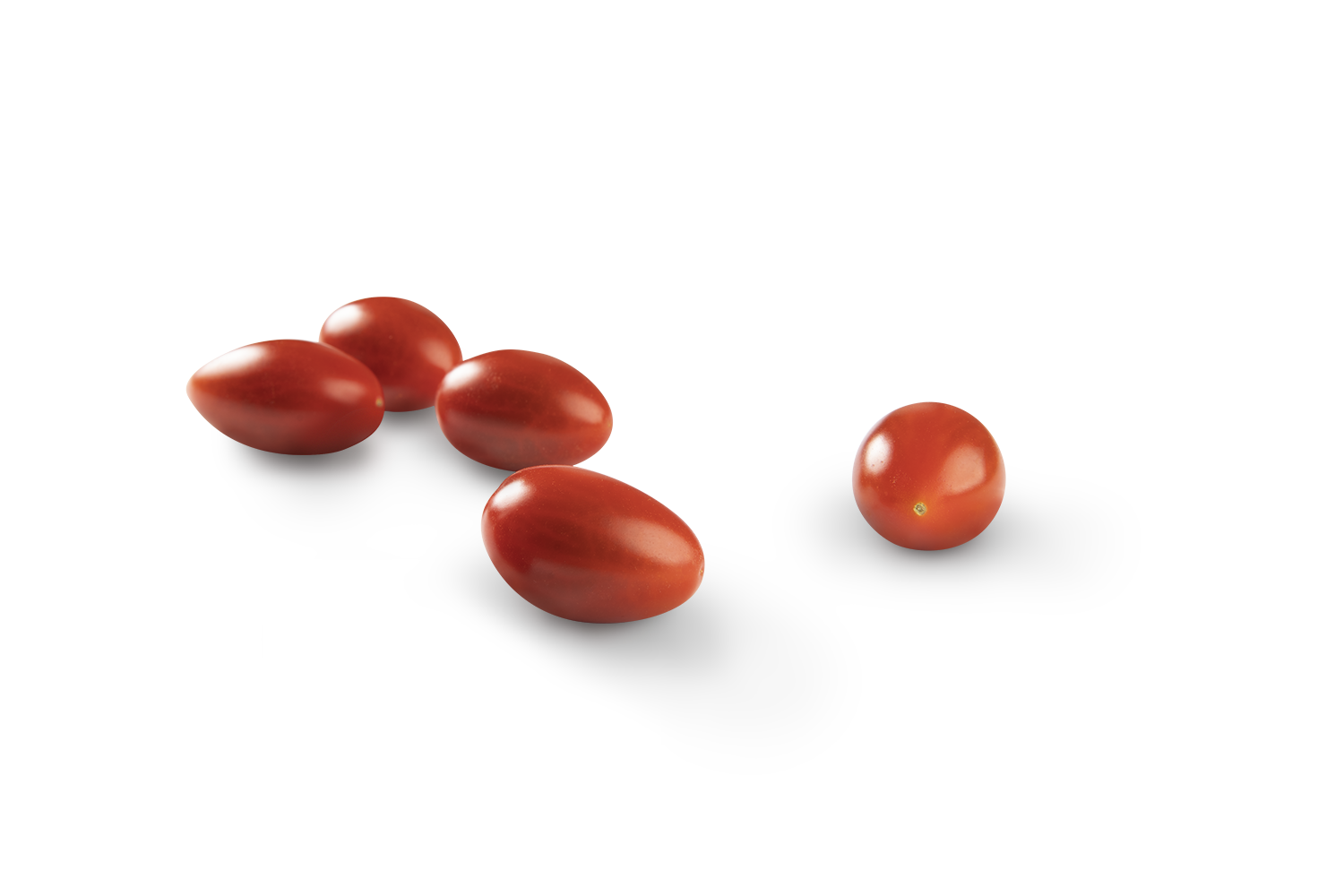 Cloud 9® Bite-Sized Fruity Tomatoes