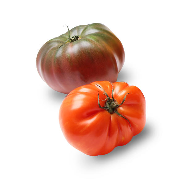 Brown and Red Pure Flavor Heirloom Tomatoes