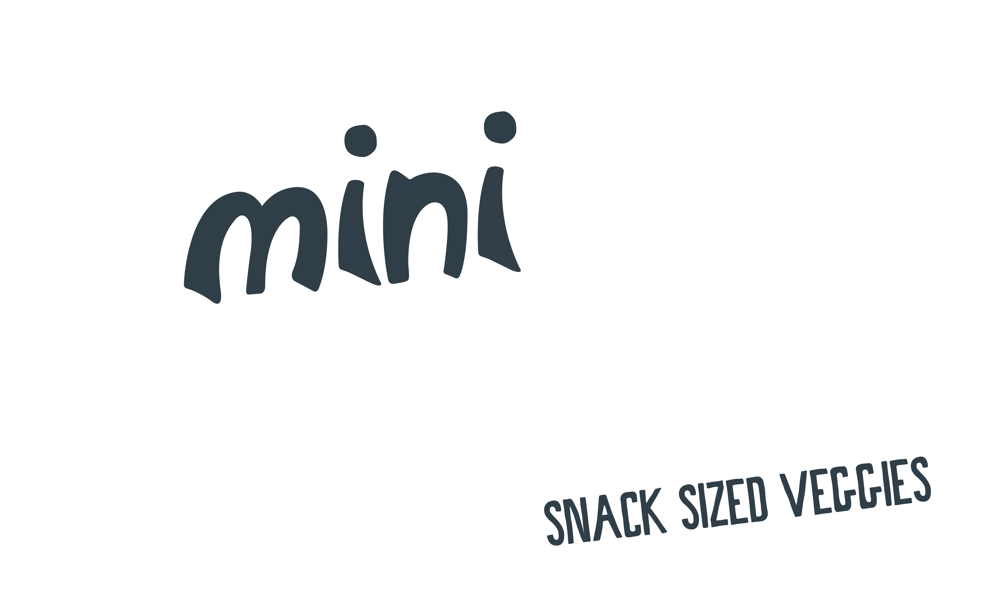 Mini Munchies Snack Sized Veggies