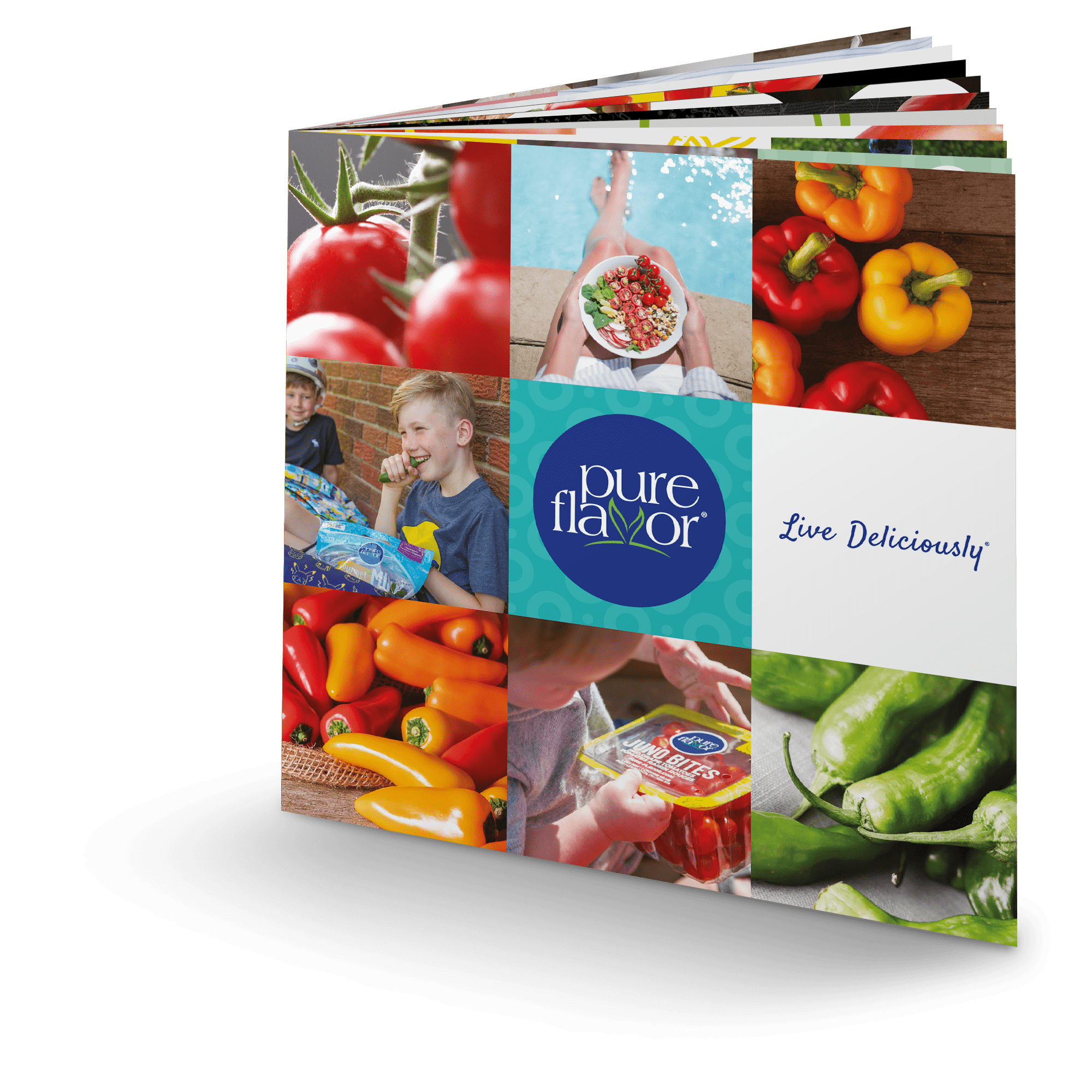 The Pure Flavor 2020 Brand Storybook