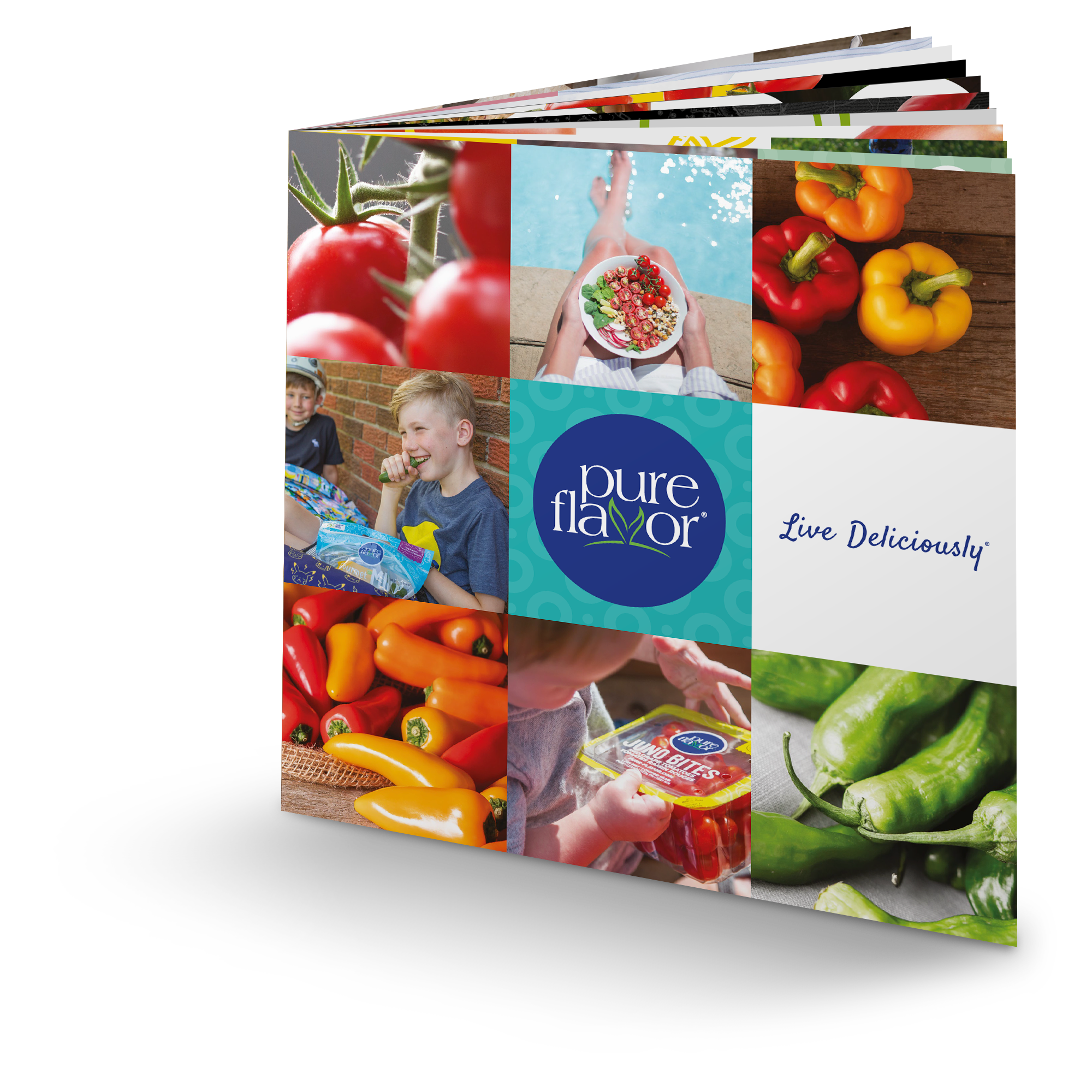 The 2020 Pure Flavor Brand StoryBook.