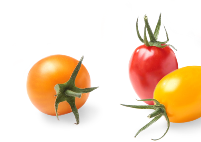 Bulk Pure Flavor Sangria Medley Tomatoes