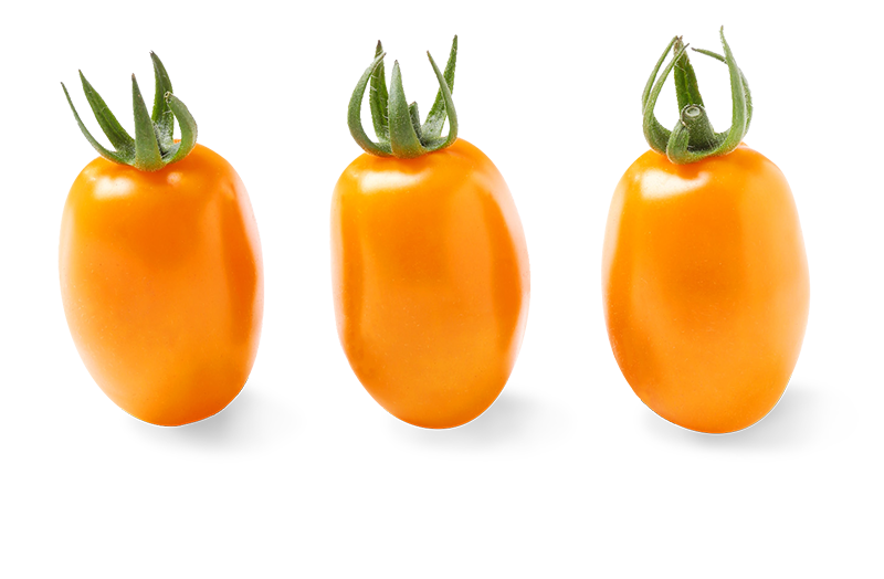 Oriana Orange Grape Tomatoes