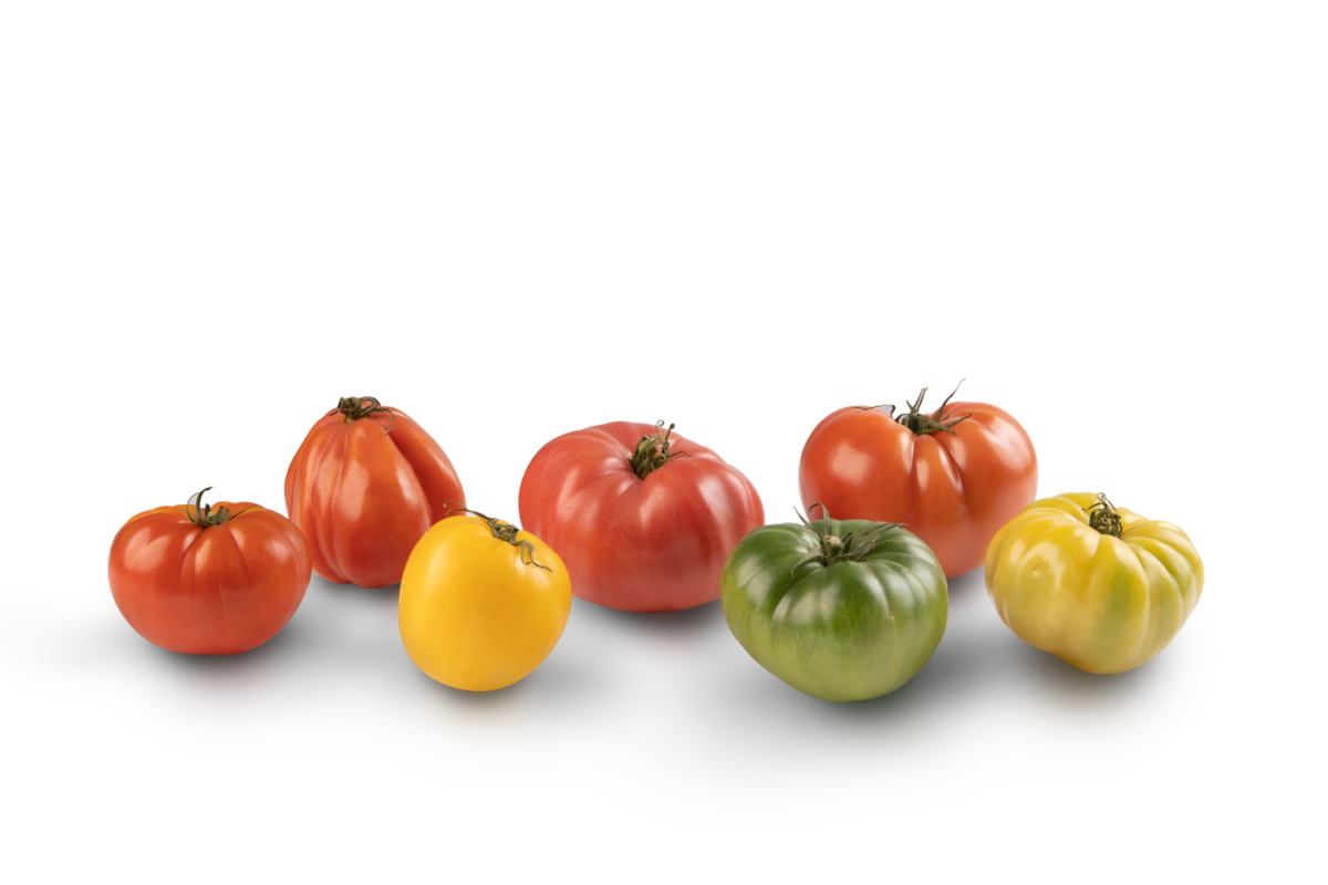 7 different heirloom tomatoes