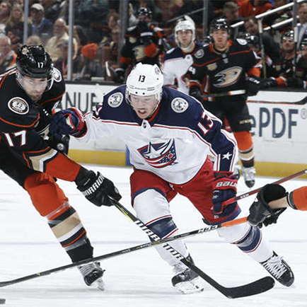 ANAHEIM DUCKS NHL HOCKEY