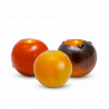 PF-Cherry-Picked-Tomatoes-Beauty-5