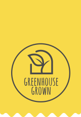 Greenhouse Grown