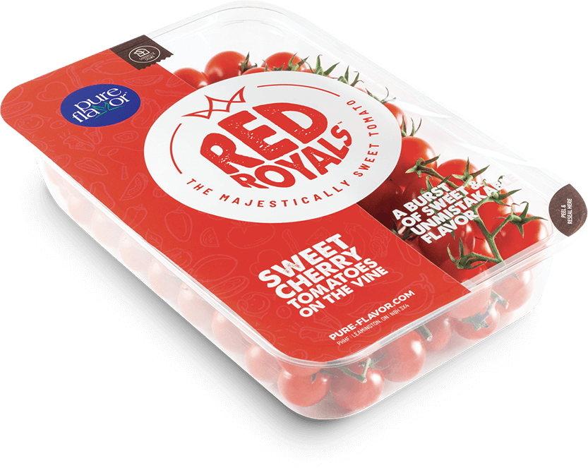 Red Royals sweet cherry tomatoes on the vine